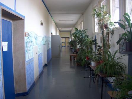 Gnstige Wohnung Mieten In 48249 Dlmen Mietwohnungen